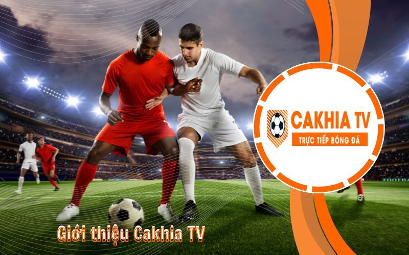 Cà Khịa TV cung cấp bảng xếp hạng bóng đá chuẩn xác nhất